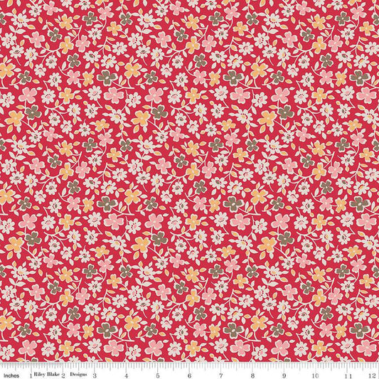 Autumn Cosmos Riley Red