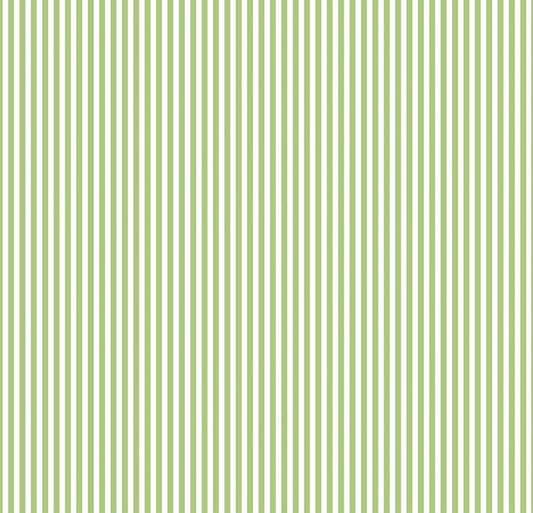 Green 1/8" Stripe | Quarter Yard Listing